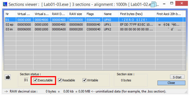 ExeinfoPE showing executable section