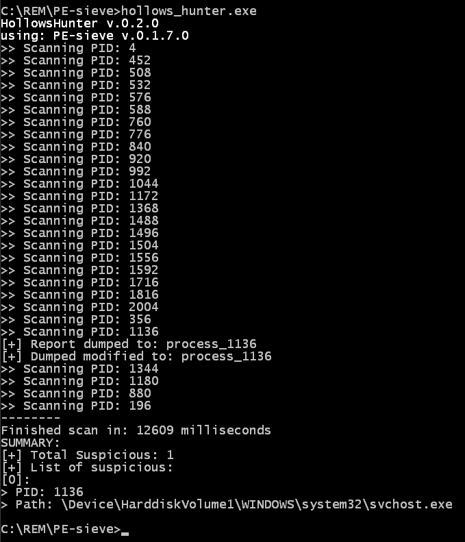 Hollows Hunter output